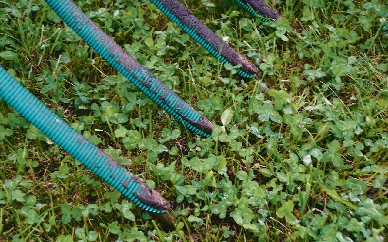 Die Schleppschläuche bringen die Gülle direkt auf den Boden. Das Gras wird weniger verschmutzt als beim Prallteller.