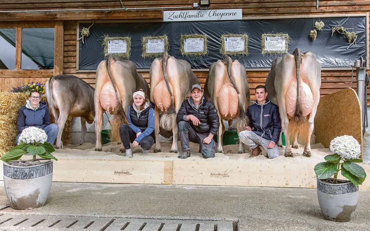 Gislerwaid Blooming Cheyenne von Familie Schmid aus Schüpfheim LU erreichte mit 92 Punkten beim Brown Swiss ein Topresultat.