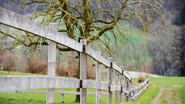 Rund 85 Prozent der Rund 85 Prozent der Luzerner Betriebe erhalten Beiträge für Landschaftsqualität.
