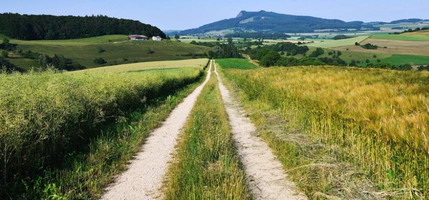 Der Regionale Naturpark Schaffhausen ist der erste länderübergreifende Naturpark der Schweiz. (Screenshot Naturpark Schaffhausen)