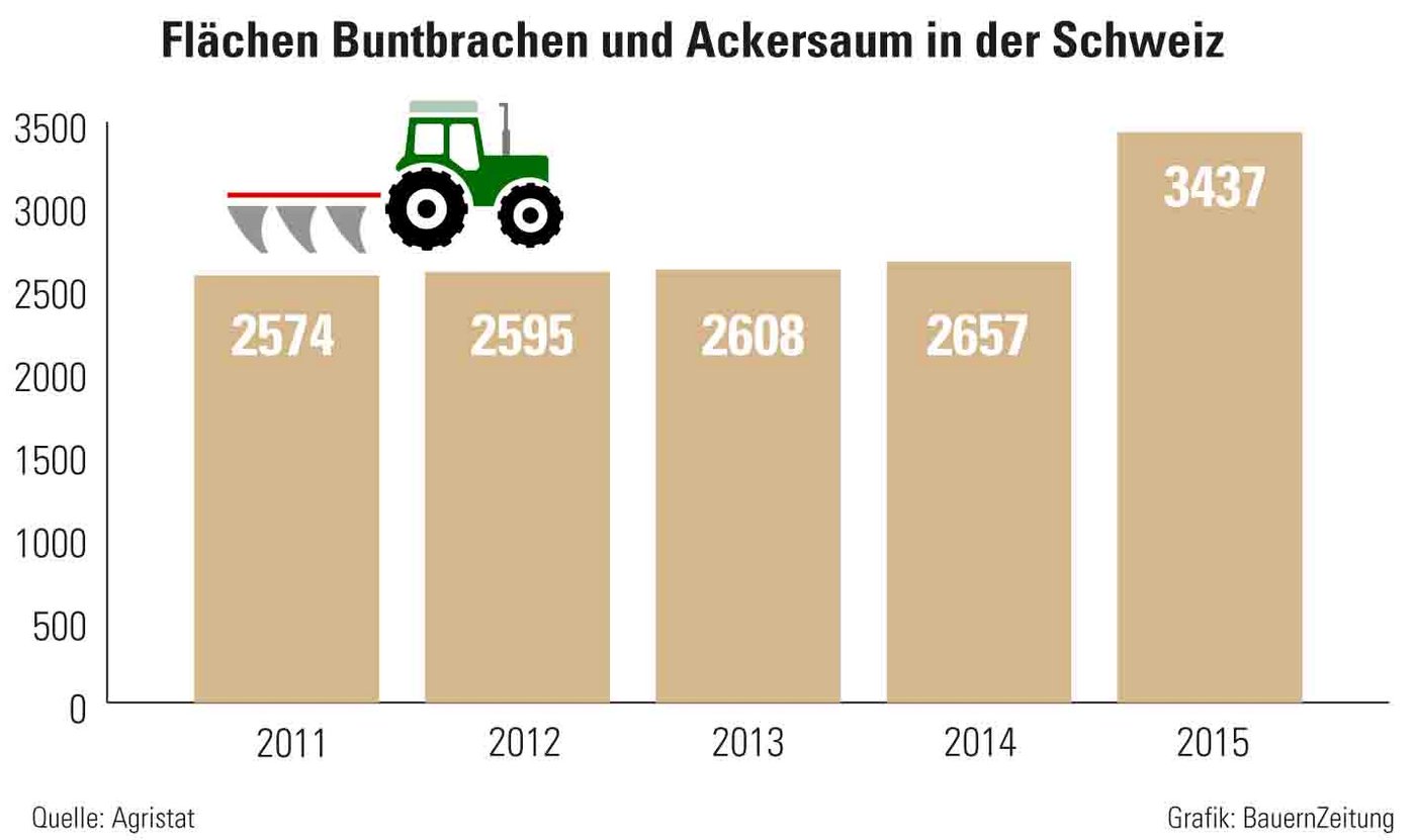 Hohe Direktzahlungen von 3800 Franken und mehr je Hektare Ackerland haben ab 2014 viele Ackerbauern zur Umstellung auf Buntbrache und Ackersäume anstelle von Ackerfrüchte bewogen. (Quelle Agristat/Grafik BauernZeitung) 