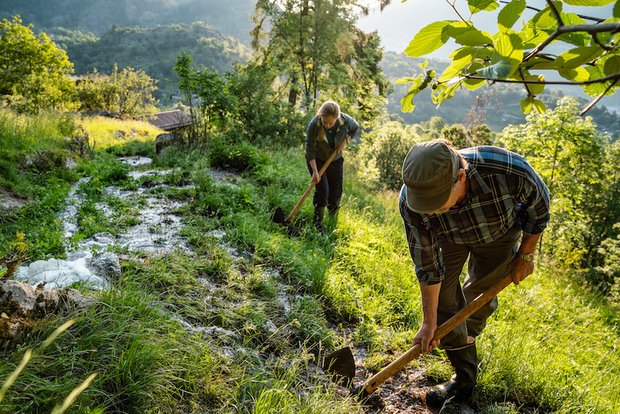 Nachdem das Bewässerungssystem das kostbare Nass von den Bergen herabgeführt hat, wird es auf den Wiesen sorgfältig feinverteilt. (Bild Switzerland Tourismus, André Meier)