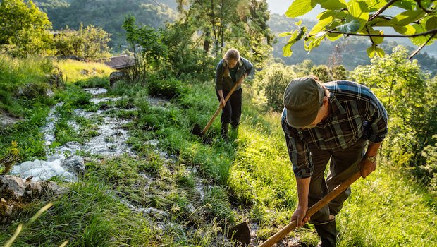 Nachdem das Bewässerungssystem das kostbare Nass von den Bergen herabgeführt hat, wird es auf den Wiesen sorgfältig feinverteilt. (Bild Switzerland Tourismus, André Meier)