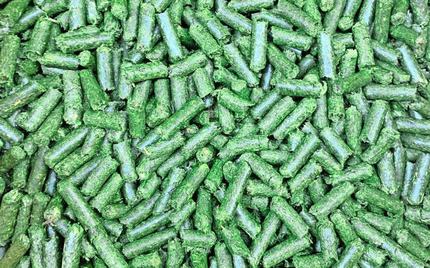 Insgesamt 39 Trocknungsanlagen in der Schweiz verarbeiten Wiesenfutter in Trockenpellets bzw. Trockengras.