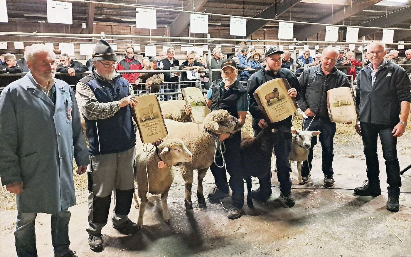 Diese Mister wurden als Rassensieger aus 56 Widdern der Region Nordwestschweiz erkoren.