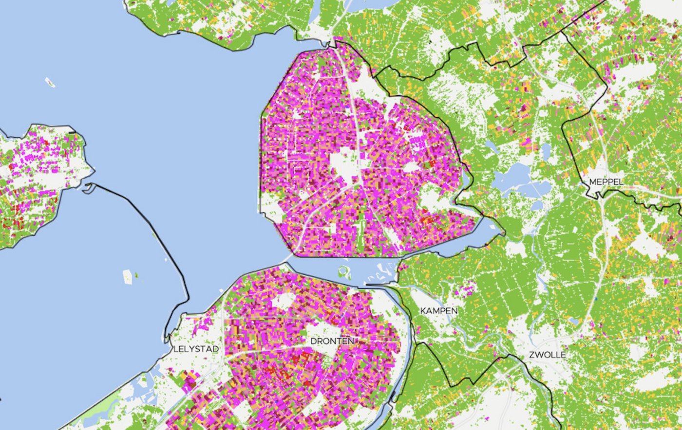 Pinke Gemüsehotspots in der holländischen Provinz Flevoland.