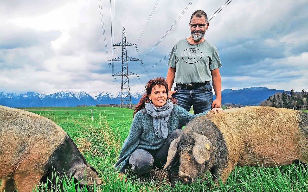 Wer bewusst Fleisch isst, soll sehen dürfen, wie die Tiere leben und sterben, davon ist Urs Rubi überzeugt. Er produziert mit viel Leidenschaft und Transparenz spezielle Bioschweine.