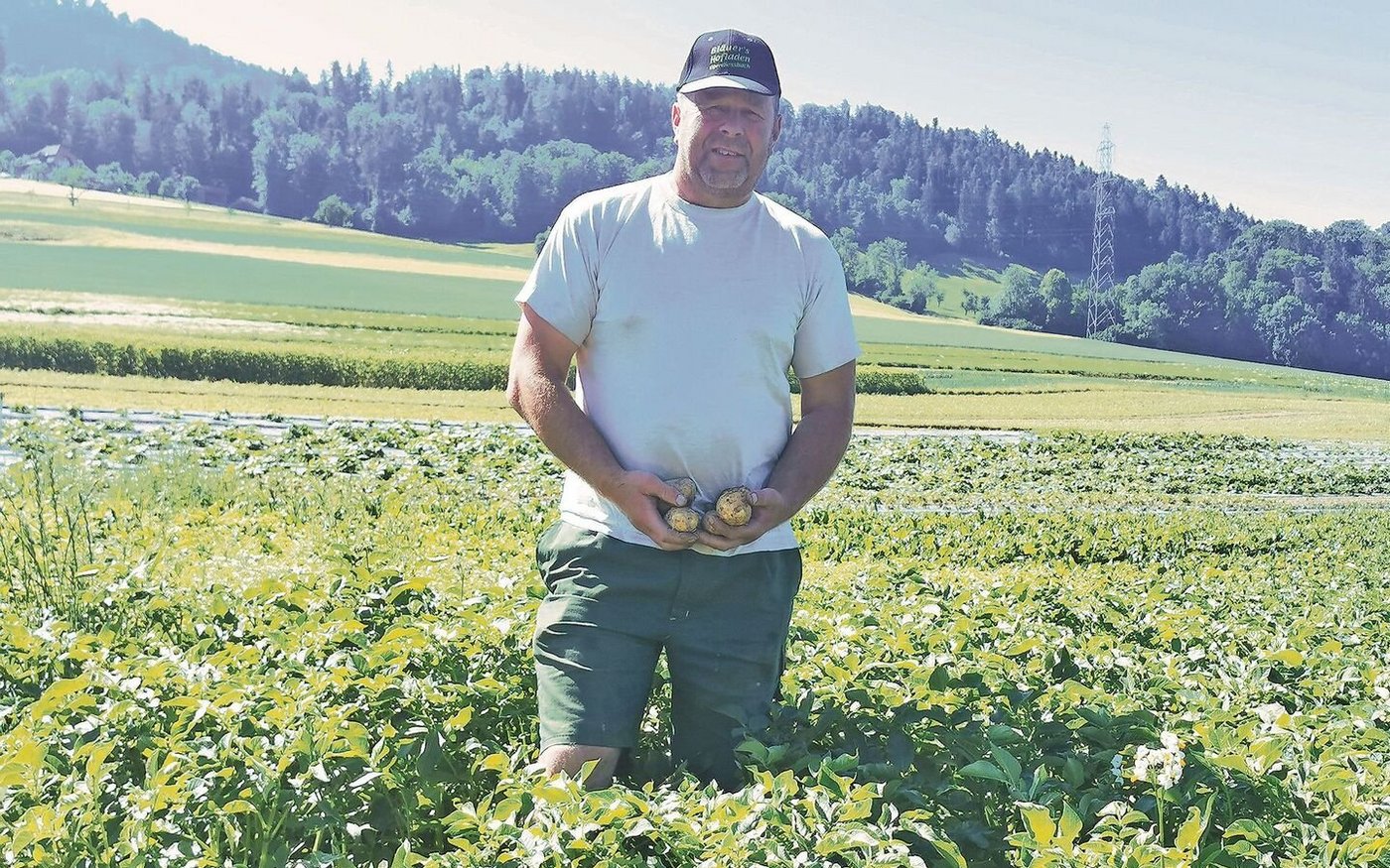 Bruno Bläuer erntet auf seinen Feldern begehrte Frühkartoffeln. Dass die Grossverteiler sie noch aus Ägypten importieren, dafür hat er kein Verständnis.