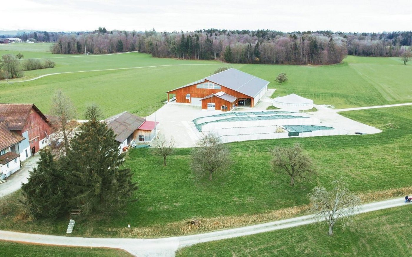 Neben dem kompakten Stall mit den Massen von 40 auf 60 Meter steht das Güllesilo mit einem Volumen von 1500 m³. Die vier Fahrsilos fassen jeweils 950 m³.  