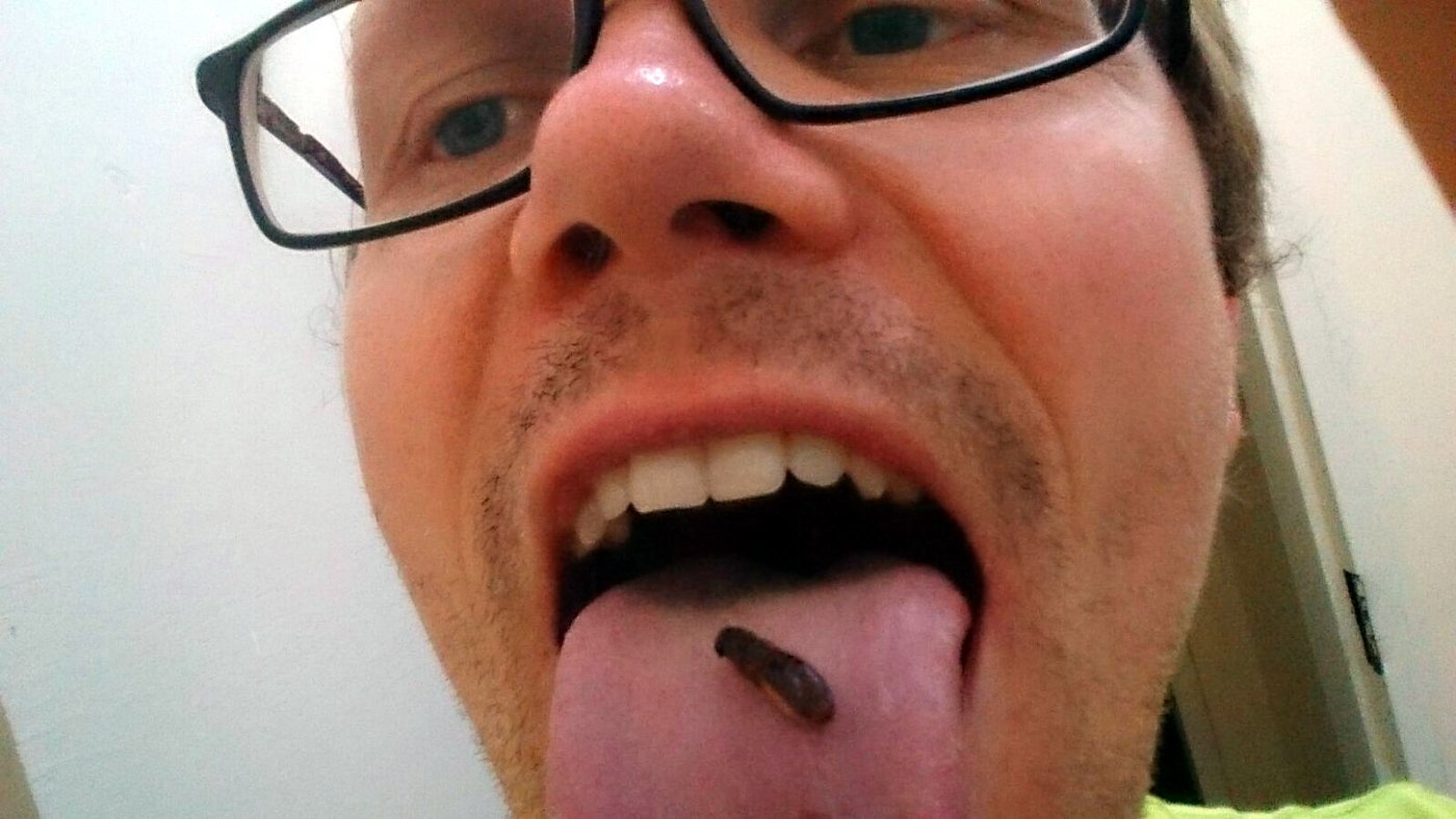  Der Muzungu lässt sich eine Inswa auf der Zunge vergehen. Die protein- und fettreichen Termiten schwärmen nach den ersten Regenfällen aus den Termitenhügeln aus. Manche SambierInnen fangen sie ein, trocknen sie an der Sonne und „entflügeln“ sie. Geröstet oder gebraten werden Inswa als Snack oder als Beilage zum traditionellen Nshima-Maisgericht gegessen.