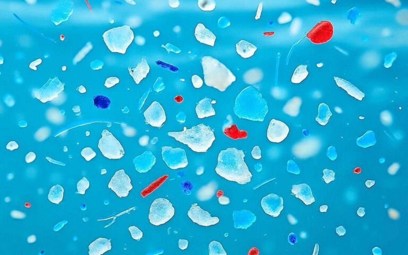 Mikroplastik ist allgegenwärtig, auch im Haushalt.