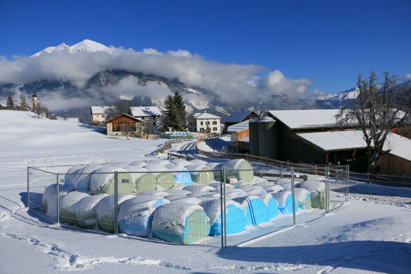Die Landwirtschaft ist gefordert: Siloballenlager müssen wildtiersicher eingezäunt werden. (Bild Anita Mazzetta)