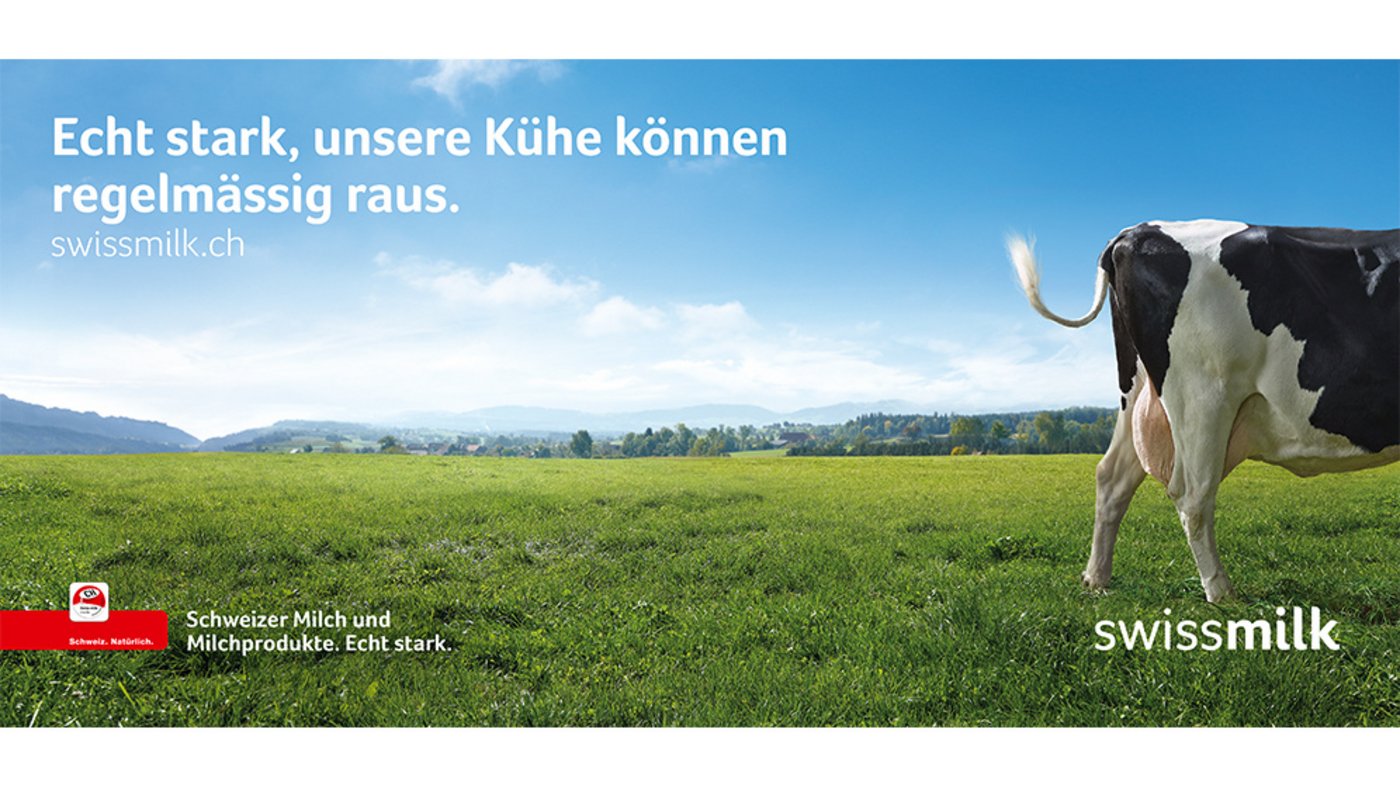 ... läuft halb aus dem Bild oder ...