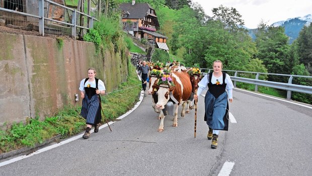 Lea und Antonia Hald Lea und Antonia Haldimann vorneweg: Ganze 22,5 km lang ist der Fussmarsch von der Alp Rufeli bis nach Hause. Die Kühe sind wunderschön mit Blumen und Treicheln geschmückt.