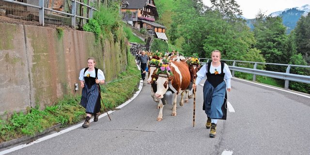 Lea und Antonia Haldimann vorneweg: Ganze 22,5 km lang ist der Fussmarsch von der Alp Rufeli bis nach Hause. Die Kühe sind wunderschön mit Blumen und Treicheln geschmückt.