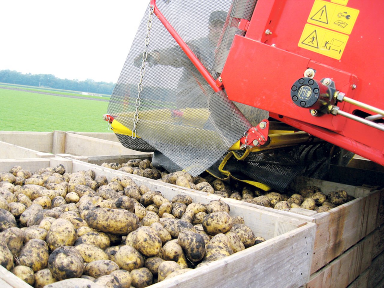 12 000 t Kartoffeln kommen in die «Garantielager». (Bild rü)