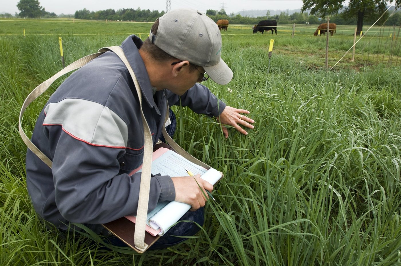 Ein schweizweites Netzwerk von Forschern soll entstehen. (Bild Agroscope)