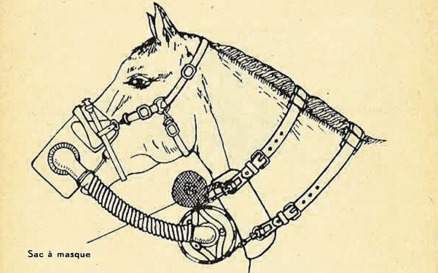Das Reglement zur Gasmaske gibt detailliert Auskunft über Bestandteile, Montage und Reinigung der Gasmaske.