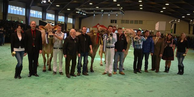 Senior Champion (Mitte): Schmibach's Collection Corella, Schauteam Gisler - Pflug und Beni Schmid, Romoos / Reserve Senior Champion (rechts): Wendelins Moiado Legassy, Wendelin Casutt-Cathomen, Falera / Mention Honorable (links): Pius Schuler's Glenn Glena, Paul Kälin-Merz, Steinen