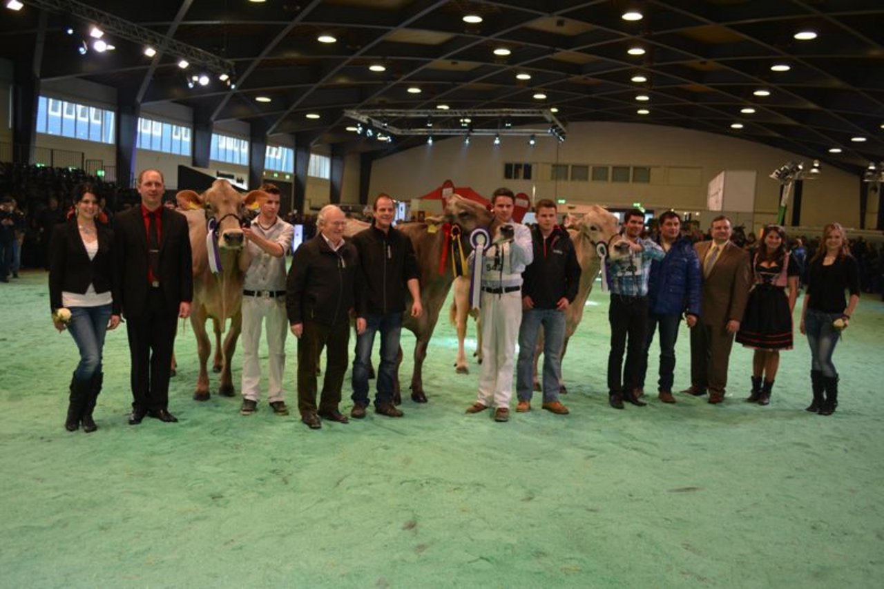 Senior Champion (Mitte): Schmibach's Collection Corella, Schauteam Gisler - Pflug und Beni Schmid, Romoos / Reserve Senior Champion (rechts): Wendelins Moiado Legassy, Wendelin Casutt-Cathomen, Falera / Mention Honorable (links): Pius Schuler's Glenn Glena, Paul Kälin-Merz, Steinen