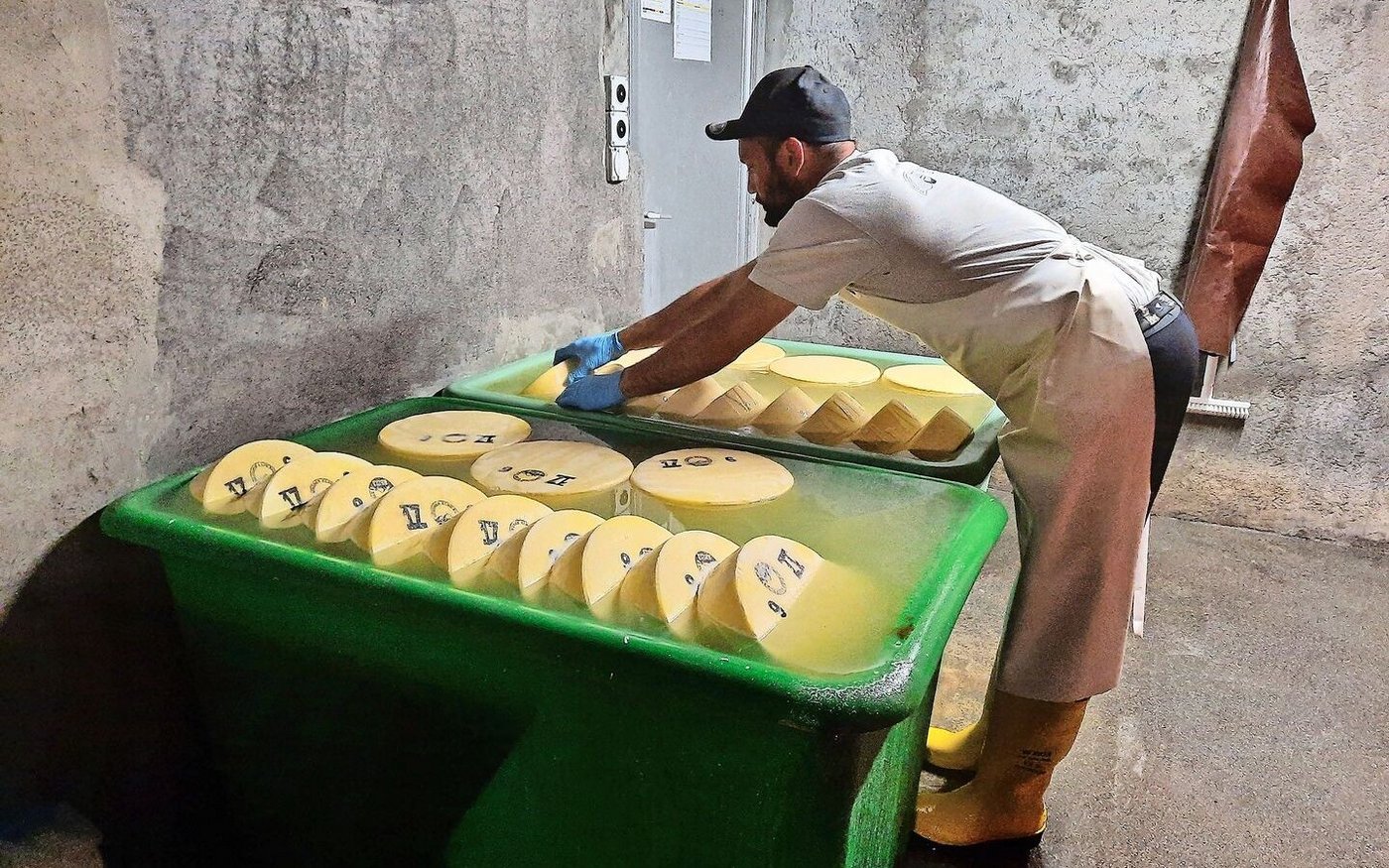 Die Produktion läuft: Senn Reto wendet den Käse im Salzbad.
