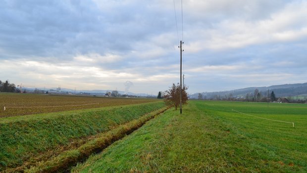 Der Gewässerraum für den Giessen wird an dieser Stelle 38 Meter breit ausgeschieden (siehe Pfosten), weil die ökomorphologische Breite des Bachlaufs mit vier Meter festgesetzt wurde und im Vernetzungskorridor steht. (Bild Daniel Thür)