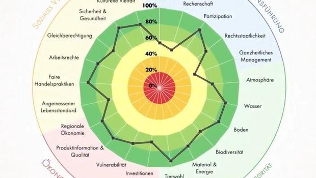 Eine Übersichtsgrafik zeigt dem Landwirt, wie gut er sein Nachhaltigkeitsziel (schwarze Linie im Kreis) erreicht. Dabei nähert sich die schwarze Linie dem dunkelgrünen Bereich (100% Nachhaltigkeit), je nachhaltiger der Landwirt wirtschaftet. (Screenshot Youtube-Video FiBL)