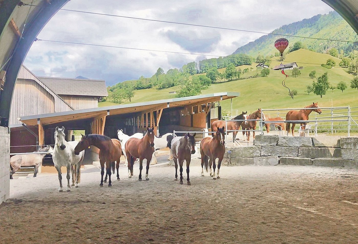 Der Betrieb von Franz und Anita von Holzen aus Ennetmoos NW ist mit dem Label «Der Gute Stall» ausgezeichnet. Im Liegebereich wird die Staubentwicklung mit einem Sprühnebel reduziert. (Bild zVg)