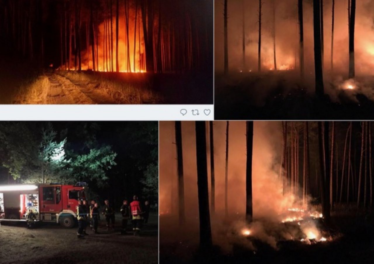 Bilder auf Twitter zeigen den riesigen Waldbrand. (Bild Screenshot Twitter)