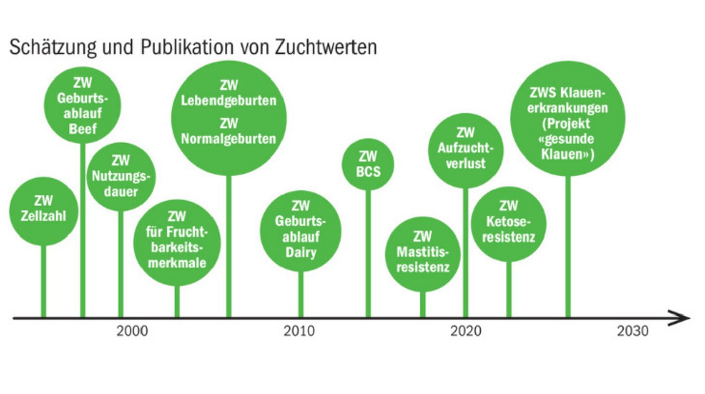 Die Schätzung und Publikation von Zuchtwerten ist für den Einsatz von Zuchttieren entscheidend. In den nächsten Jahren sollen Zuchtwerte für Ketoseresistenz und Klauenerkrankungen hinzukommen. (Quelle Qualitas AG)