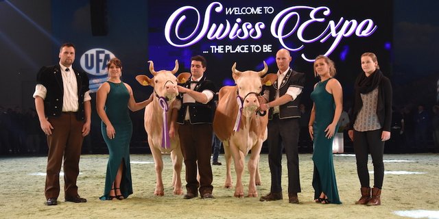 Grande Championne der Simmental wurde (links) Ryters Flavio Amylou, Hanspeter und Peter Ryter, Kandergrund. Simmenoud Adi Fantasie von Antoine und Sébastian Menoud aus Sâles stand gleich hinter ihr. (Bilder jba)