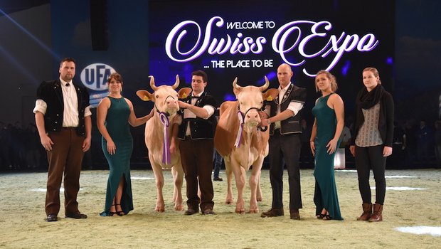 Grande Championne der Simmental wurde (links) Ryters Flavio Amylou, Hanspeter und Peter Ryter, Kandergrund. Simmenoud Adi Fantasie von Antoine und Sébastian Menoud aus Sâles stand gleich hinter ihr. (Bilder jba)