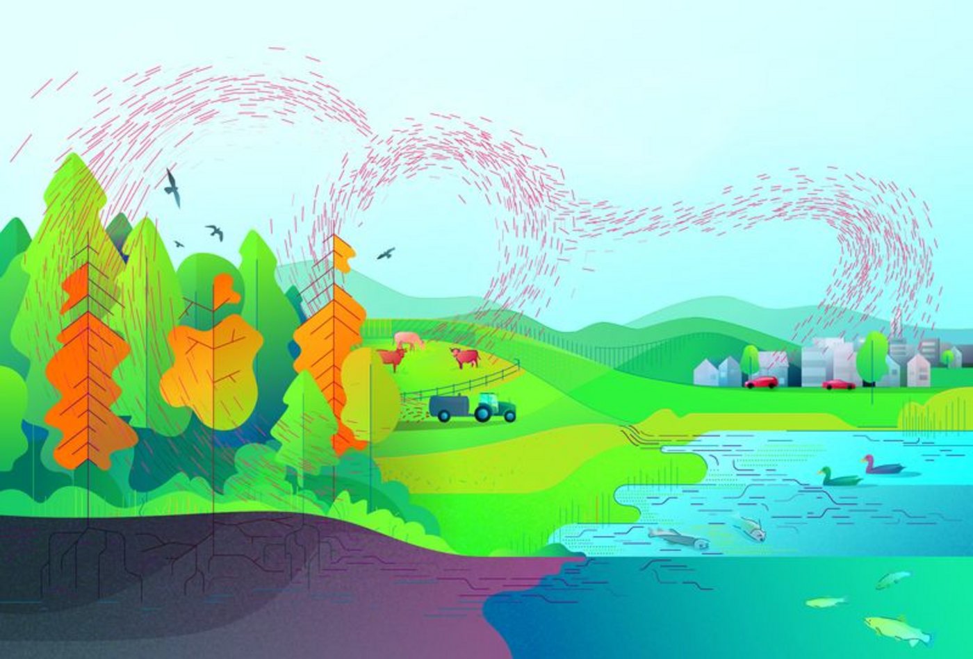 Durch die Luft wird Stickstoff in verschiedenen Formen weit transportiert und gelangt in empfindliche Ökosysteme. (Bild Monika Rohner) 