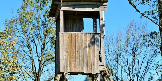 Der STS unterstützt das Referendum gegen das Jagdgesetz. (Symbolbild/pd)