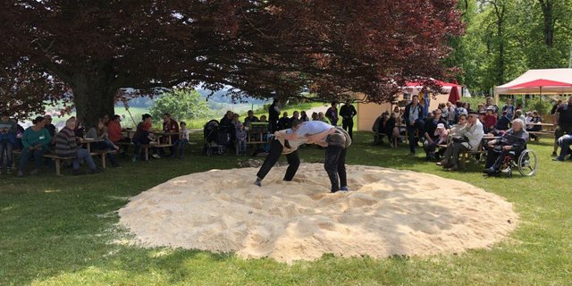 Momentan ist noch unklar, ob Schwingfeste in diesem Jahr stattfinden können. (Bild MSF)