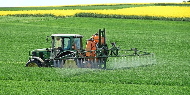 Der Zucker wird zusammen mit Stickstoff in Wasser gelöst und via Flüssigdüngung in den Weizen gespritzt.
