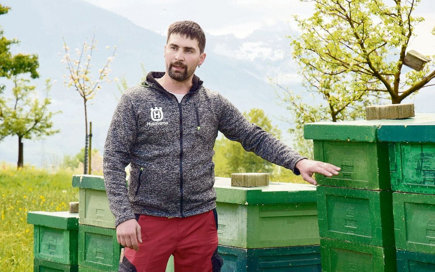 Armin Betschart zeigte seine Bienenkästen.