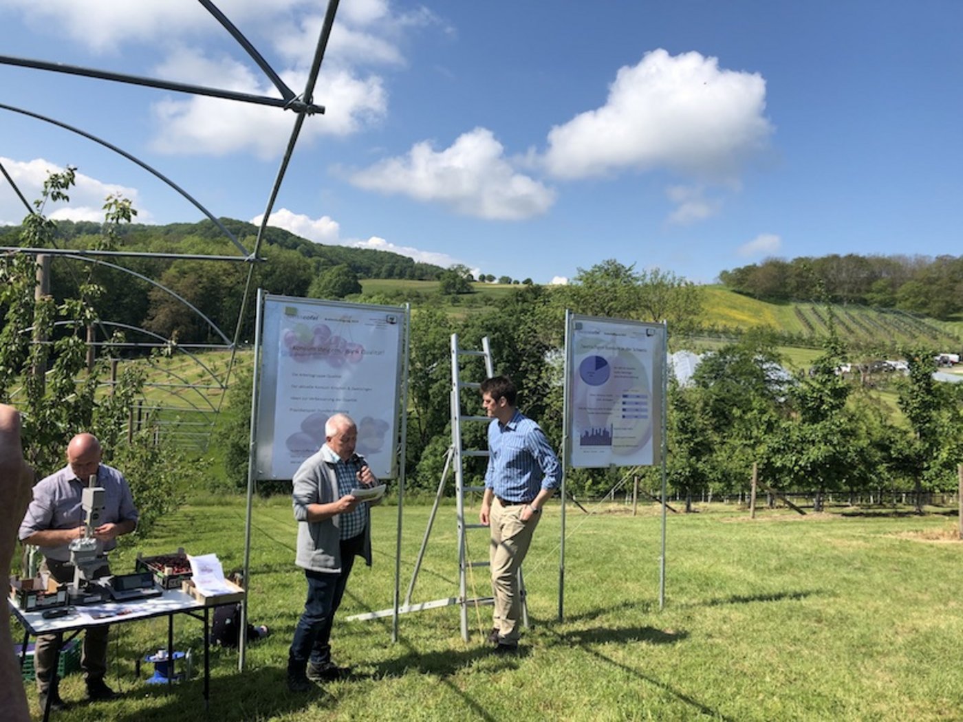 Hubert Zufferey, SOV (Mitte), sieht Vermarktungspotenzial für Kirschen.