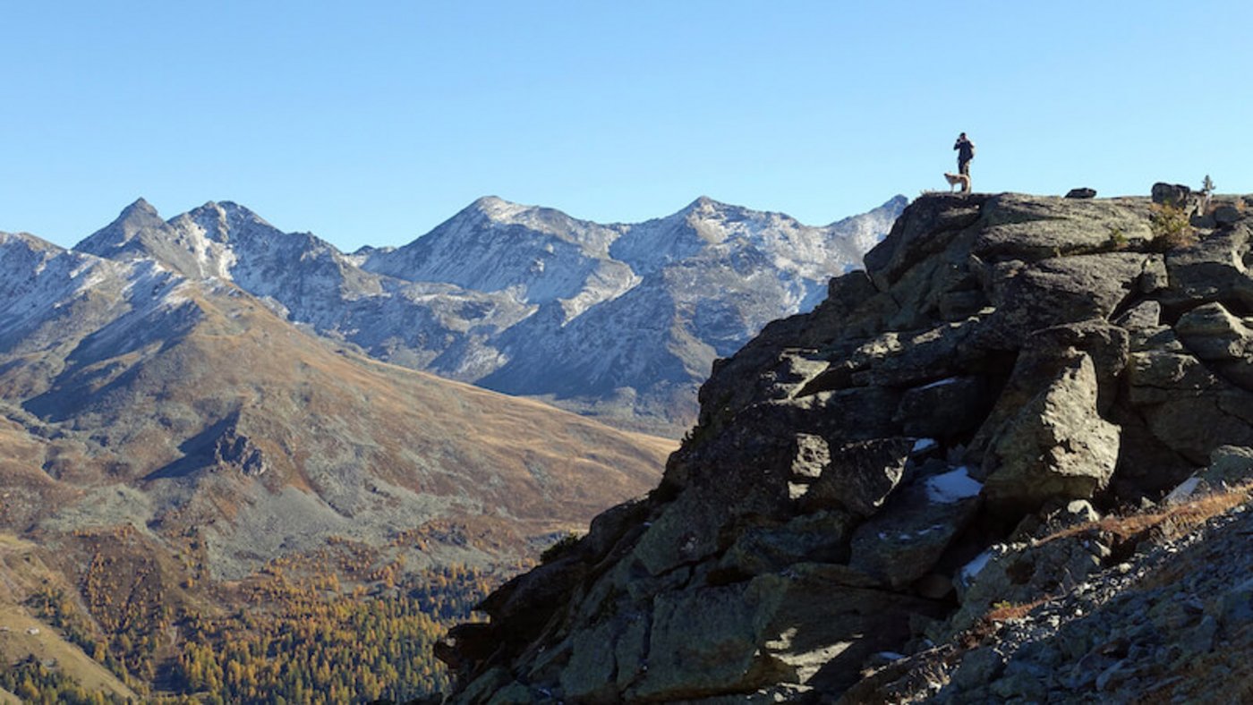 Davd Gerke von der Gruppe Wolf Schweiz (hier im Turtmanntal VS) hat ebenfalls am Film mitgewirkt.