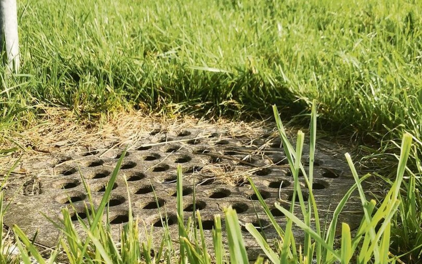 Die Fördermassnahme «Schachtdeckel» ist im Kanton Luzern diesen Monat gestartet.  