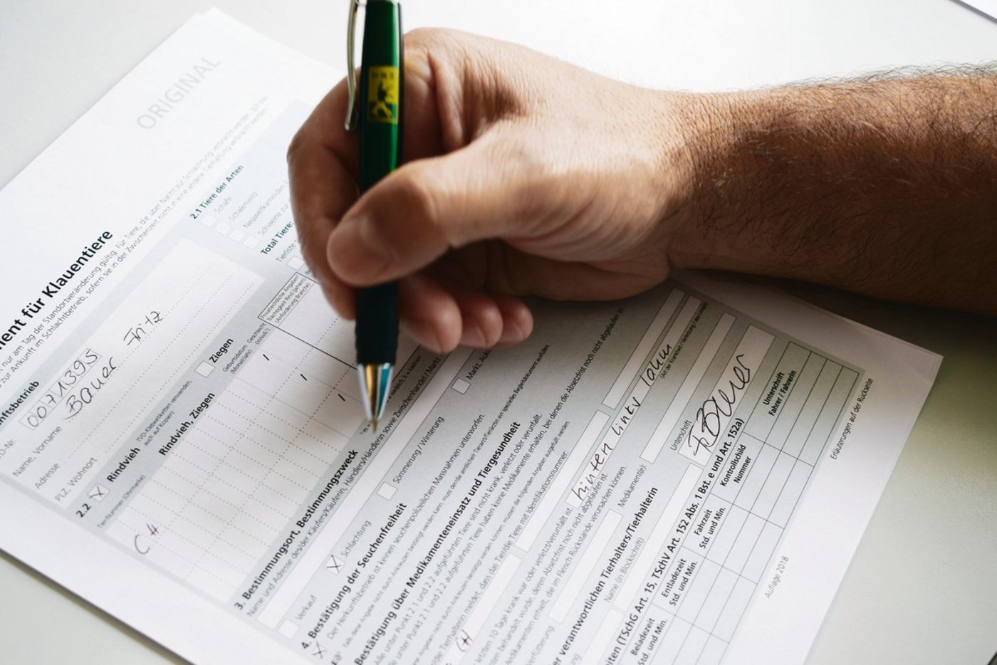 Auf dem Begleitdokument für Klauentiere muss unter Punkt 5 eine sichtbare Lahmheit deklariert werden und zwar im Feld, das Platz lässt, um die Art der Krankheit, der Verletzung oder des Unfalls zu beschreiben. (Bild Simone Barth)