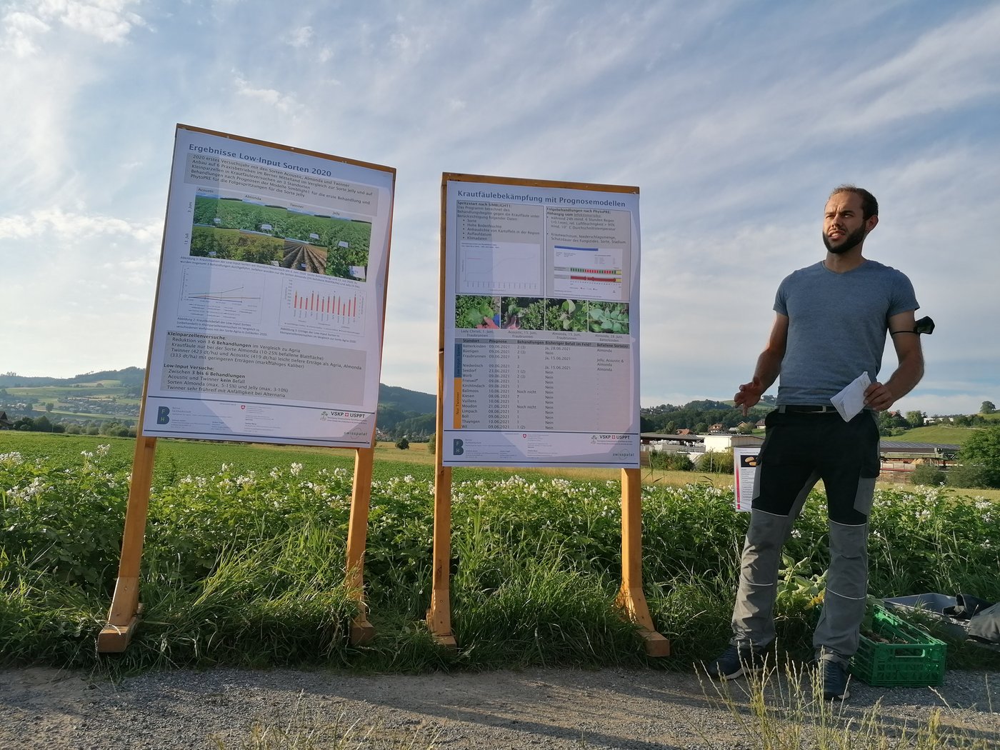 Die wichtigsten Infos auf einen Blick. Im Versuch wurden drei neue ausländische Sorten getestet und mit der Referenzsorte Jelly verglichen. (Bild bab)