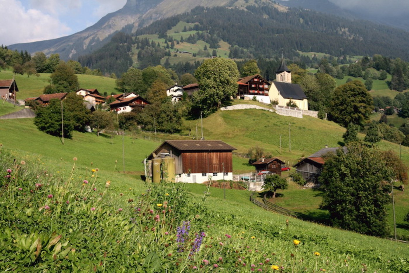 Idyllisch gelegene Höfe – auch wenn sie klein sind – sind sehr gesucht. (Symbolbild Agnes Schneider Wermelinger)