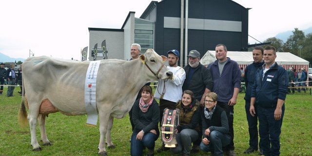 Die Tagessiegerin Jongleur Europa von Paul Reinhard, St. Niklausen (Bildmitte). (Bilder Paul Küchler)