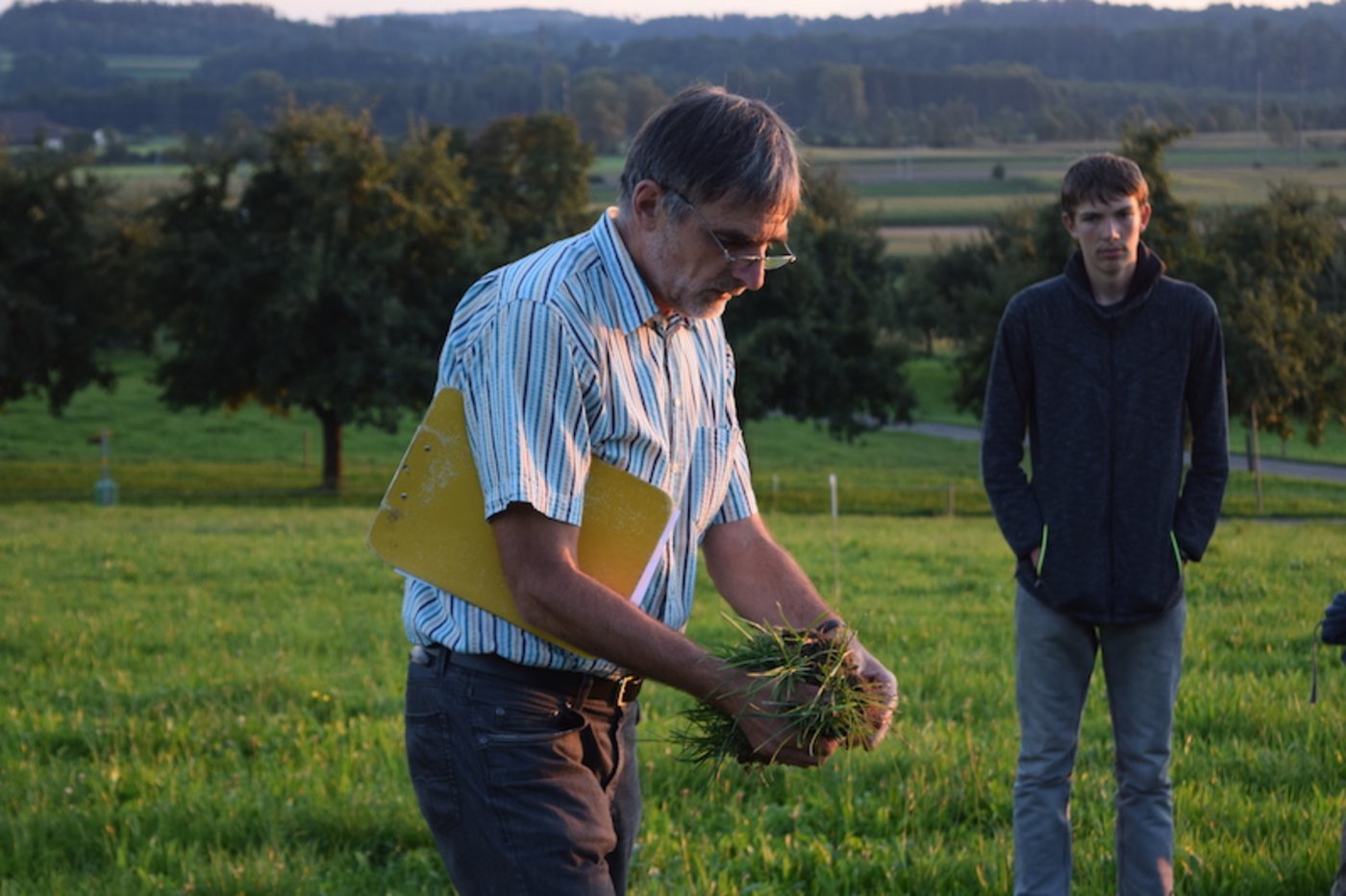 Auf dieser Wiese hat sich der Pflanzenbestand vom Hitzesommer 2018 gut erholt. Jakob Rohrer zeigt den dichten Wasen, den das Italienische Raigras, die Wiesenrispe und der Weissklee gebildet haben. (Bilder Stefanie Giger)