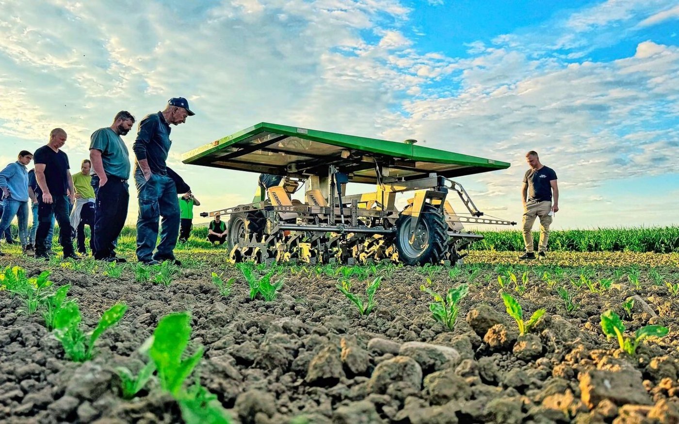 Autonome Feldroboter profitieren seit dem 1. Januar 2025 von Bundesbeiträgen, sofern sie den PSM-Einsatz reduzieren.