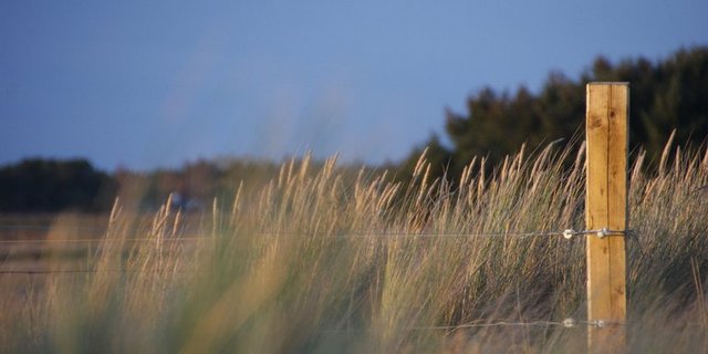 Ab Anfang Juni können Zäune gemeldet, die für einen Rückbau geeignet sind. (Symbolbild lid)
