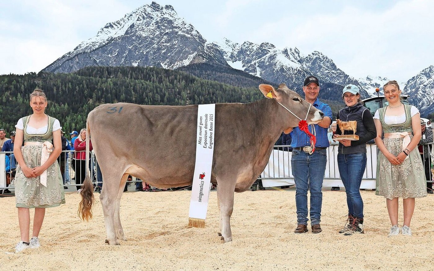 Den Rinder-Miss-Titel gewann auf dem grosszügigen Schauareal vor der Bergkulisse Peer’s O Malley Jeanette der Züchterin Gianna Martina Peer aus Ramosch.