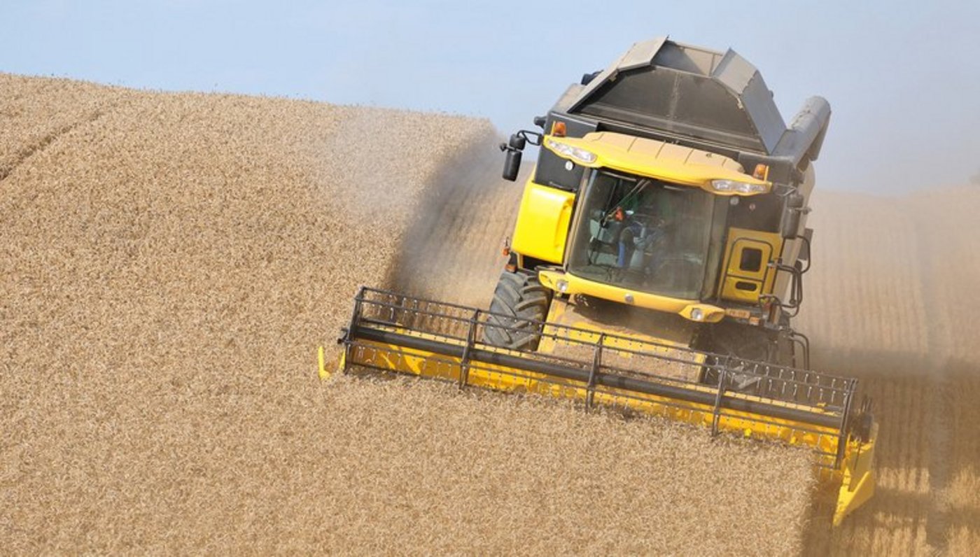 Vom Konsumentenfranken kommt immer weniger bei den Bauern an. (Cédric Péclard/landwirtschaft.ch)