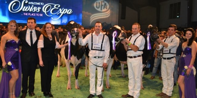 Die Grossen Sieger (v.r.n.l.): Supreme Champion und Grand Champion bei den Holstein, DH Gold Chip Darling von Roger Frossard und Yves Saucy aus Les Pommerets. Reserve Grand Champion bei den Holstein: Du Bon Vent Inkapi von Alle Beltramino, Bag2, Al Be Ro, Bach und Sarreri aus Italien. Honorable Mention Holstein: Pozosa Goldwyn Sonia, Alle Beltramino, Bag2, Al Be Ro, Bach und Sarreri aus Italien. (Bild Peter Fankhauser) 